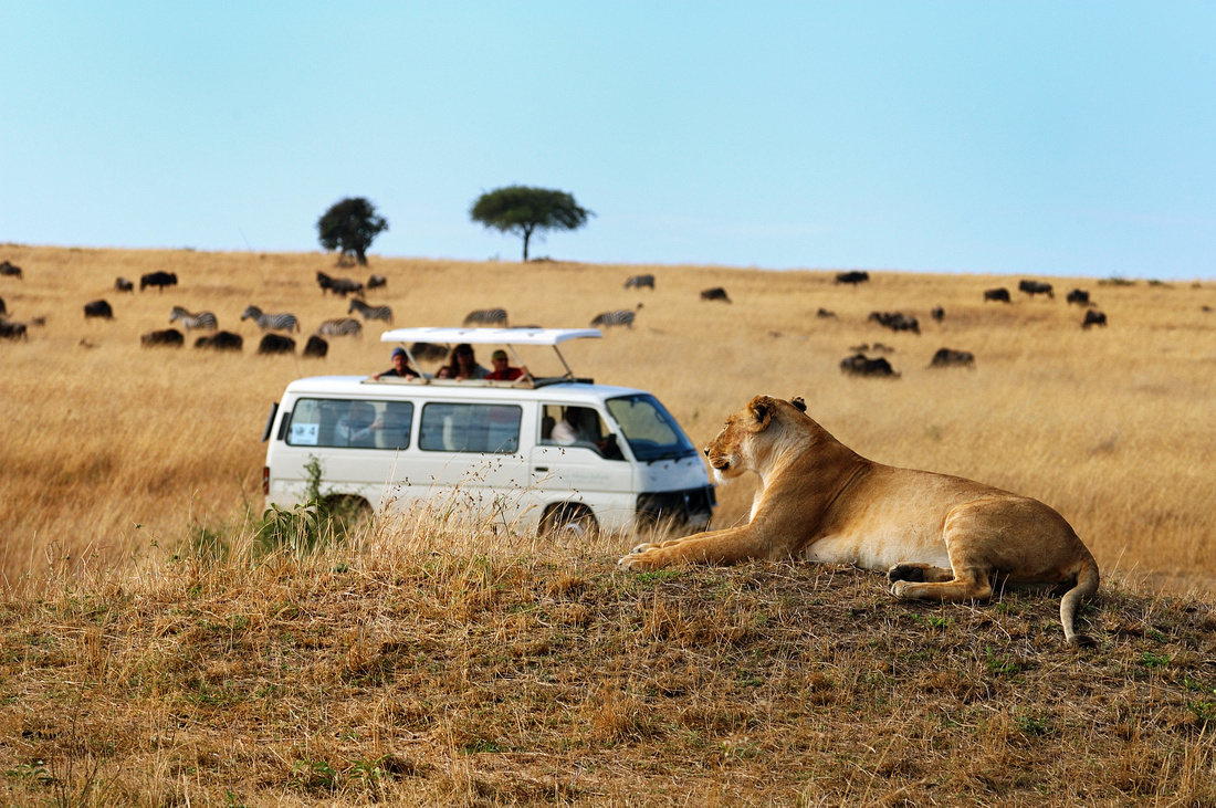 safari in africa prezzo